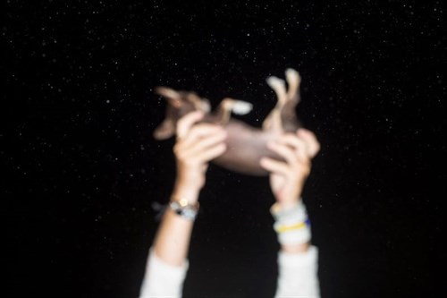 634-min -u -vulkanu -5-min