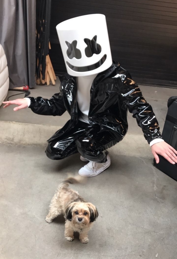 worse-dresssed-DJ-2017_Marshmello-leather